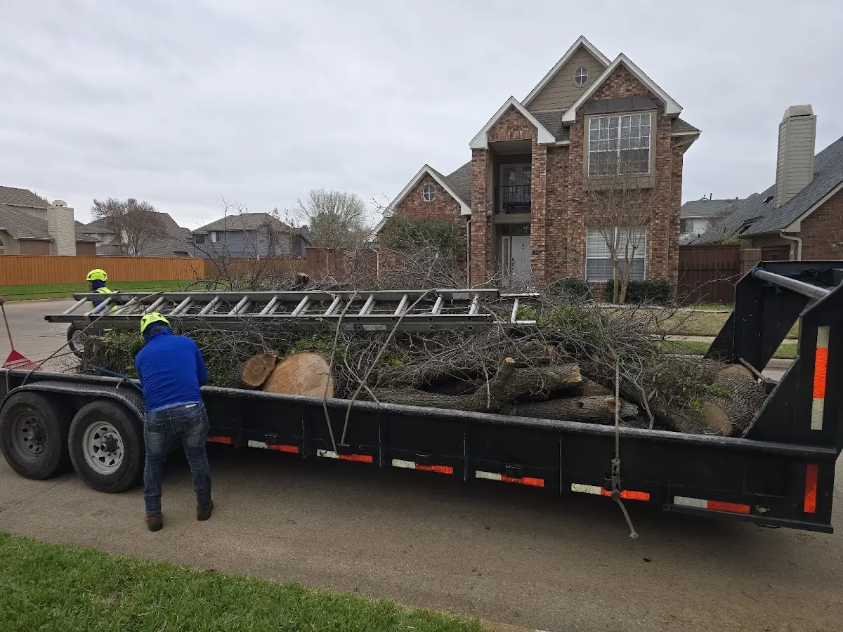 Expert Tree Fertilization with proper safety equipment in Sieper